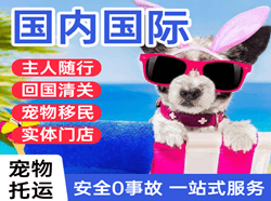 无锡机场物流国际宠物托运 【国